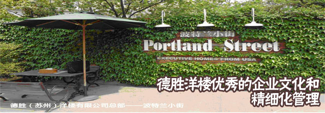 参观考察德胜洋楼