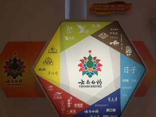 云南白药参观考察-创新文化与变革管理