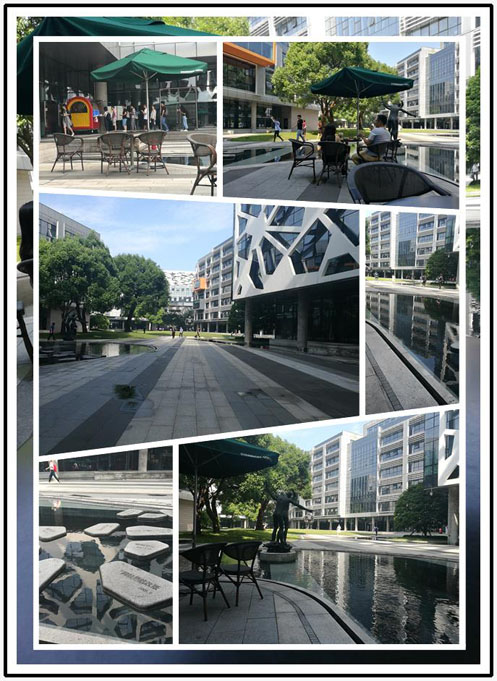 清晨的阿里巴巴滨江园区