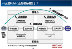 谢宁基于BLM业务领先的战略制定和战略解码课题大纲