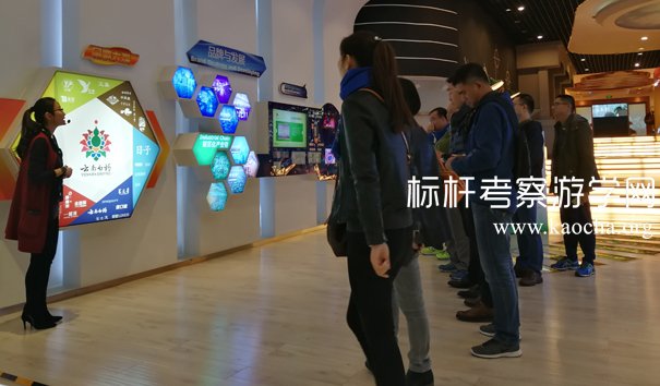 云南白药参访
