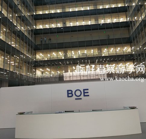 京东方考察