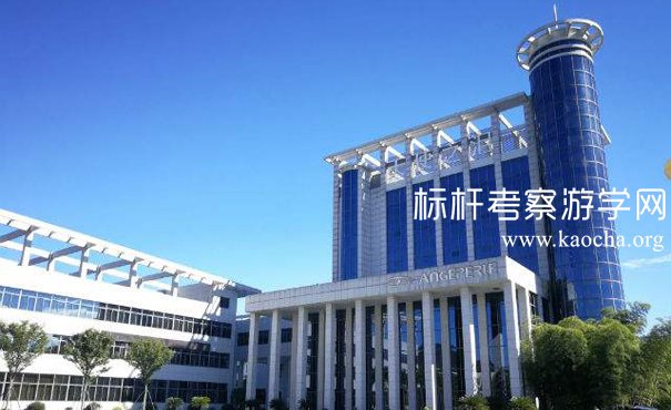 考察天使之泪珍珠集团
