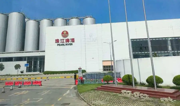 考察珠江啤酒精酿生产线