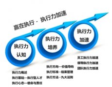 张世军:赢在执行——高效执行力