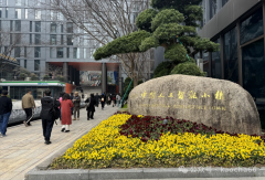 走进强脑科技，探索脑机接口科技创新的新力量